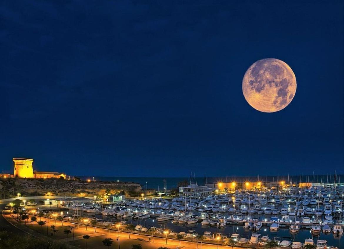 En El Paseo Maritimo, A Escasos Metros Del Mar Lejlighed El Campello Eksteriør billede